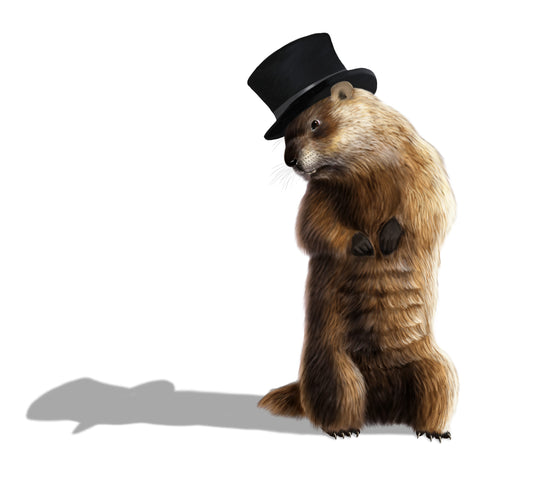 Digital,Illustration,Of,A,Groundhog,Looking,At,His,Shadow