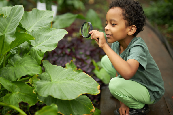 Little,African,American,Kid,Boy,Look,At,Plant,Using,Magnifier,