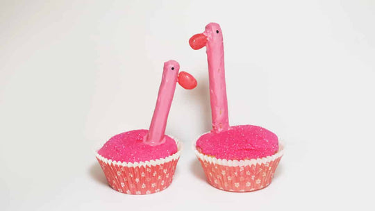 Main-Flamingo-Image
