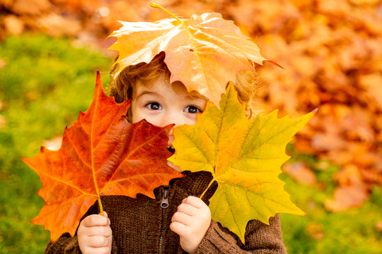 Kick Off Fall With Outdoor Science for Kids