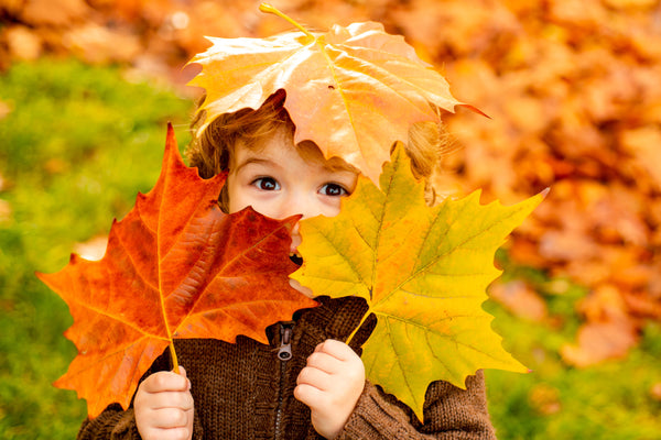 Kick Off Fall With Outdoor Science for Kids