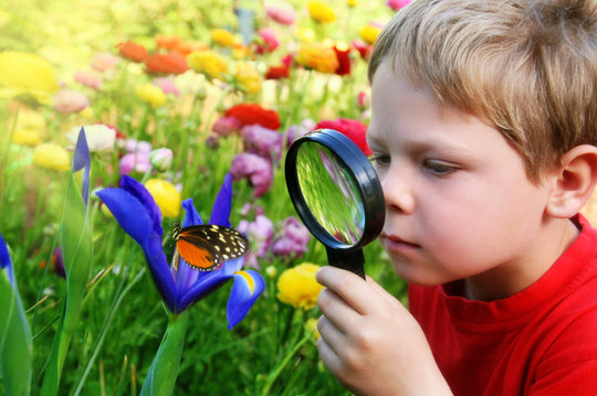 Child,Observing,Nature