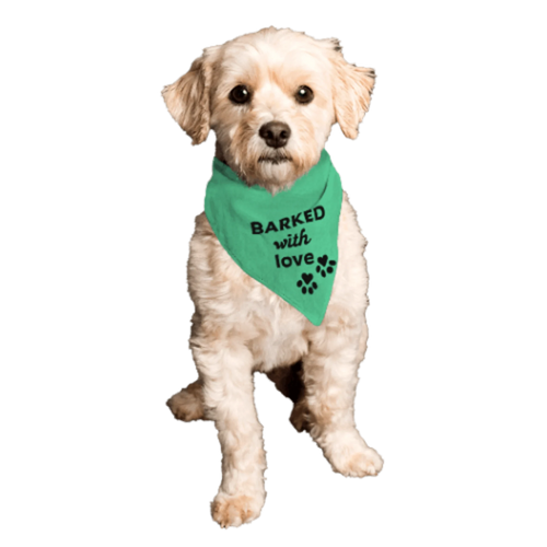 Barktivity Dog Bandana